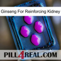 Ginseng For Reinforcing Kidney 04